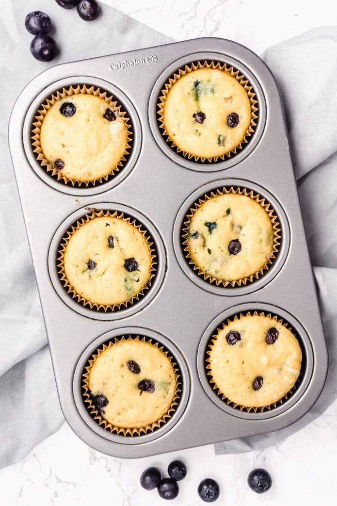 low carb and gluten free blueberry muffins in a muffin tin